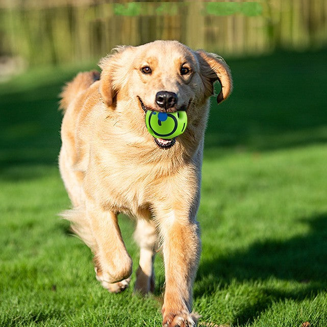 Pet Care & Grooming